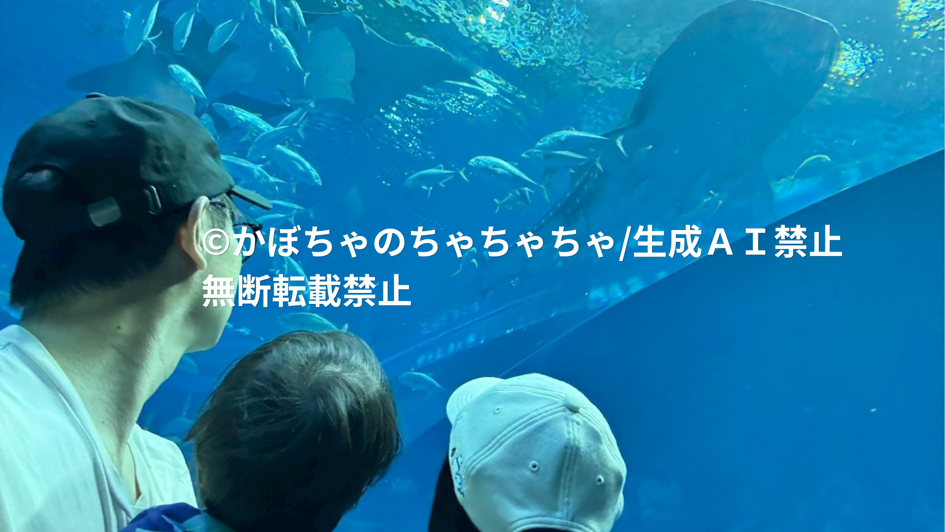 沖縄旅行の写真